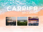 Carrier Trips & Incentives
