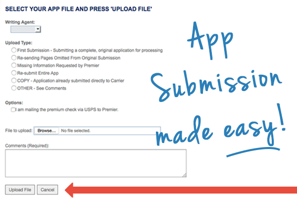 App submission made easy! (picture of our online app submitting page)